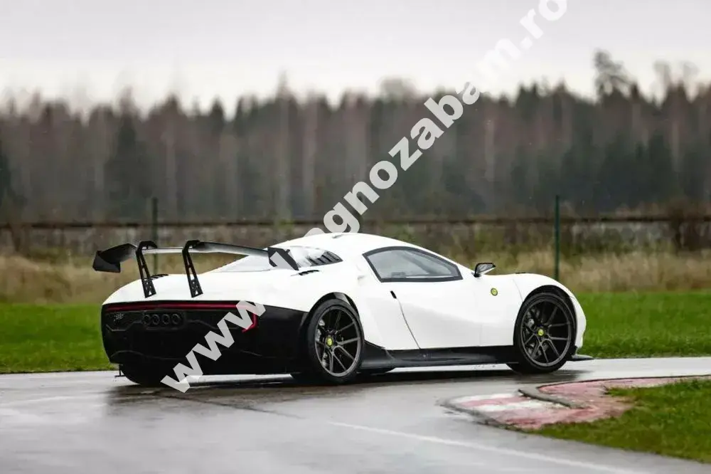 experienta unica rhino racing rr01 supercarul pe care il poti asambla singur cu motor v10 de la audi r8 mfrh original