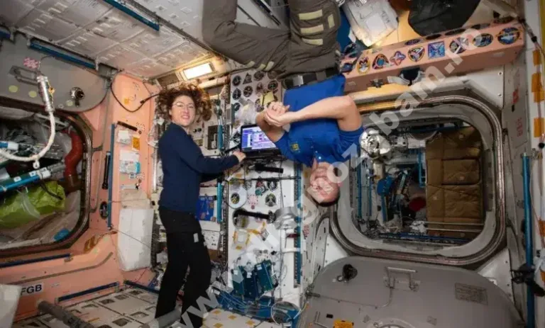 bacteriile spatiale noile mutanti ai cosmosului