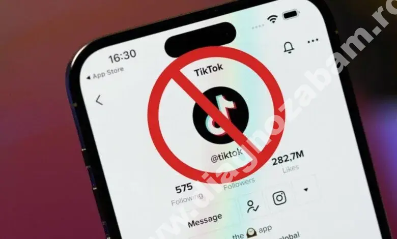 albania interzice tiktok pentru un an acuzand platforma de promovarea violentei mfrh original