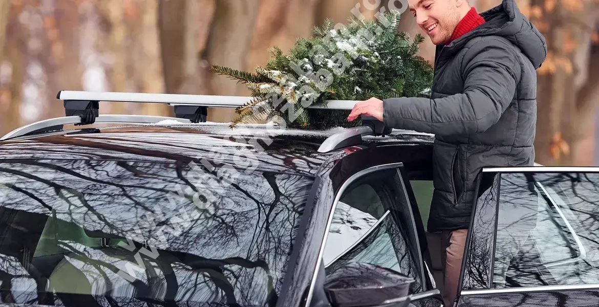 decoratiuni auto care pot duce la pierderea talonului auto ce trebuie sa stie soferii