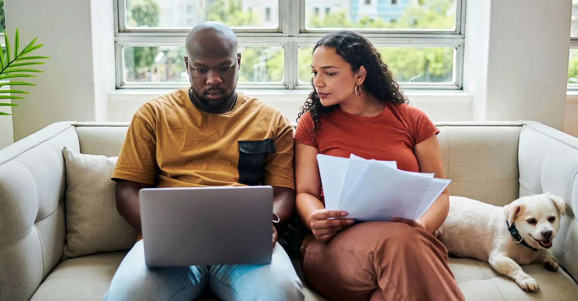 blog avast com Avast Lifestyle Blog Adoption fraud hero blog avast com Avast Lifestyle Blog Adoption fraud hero