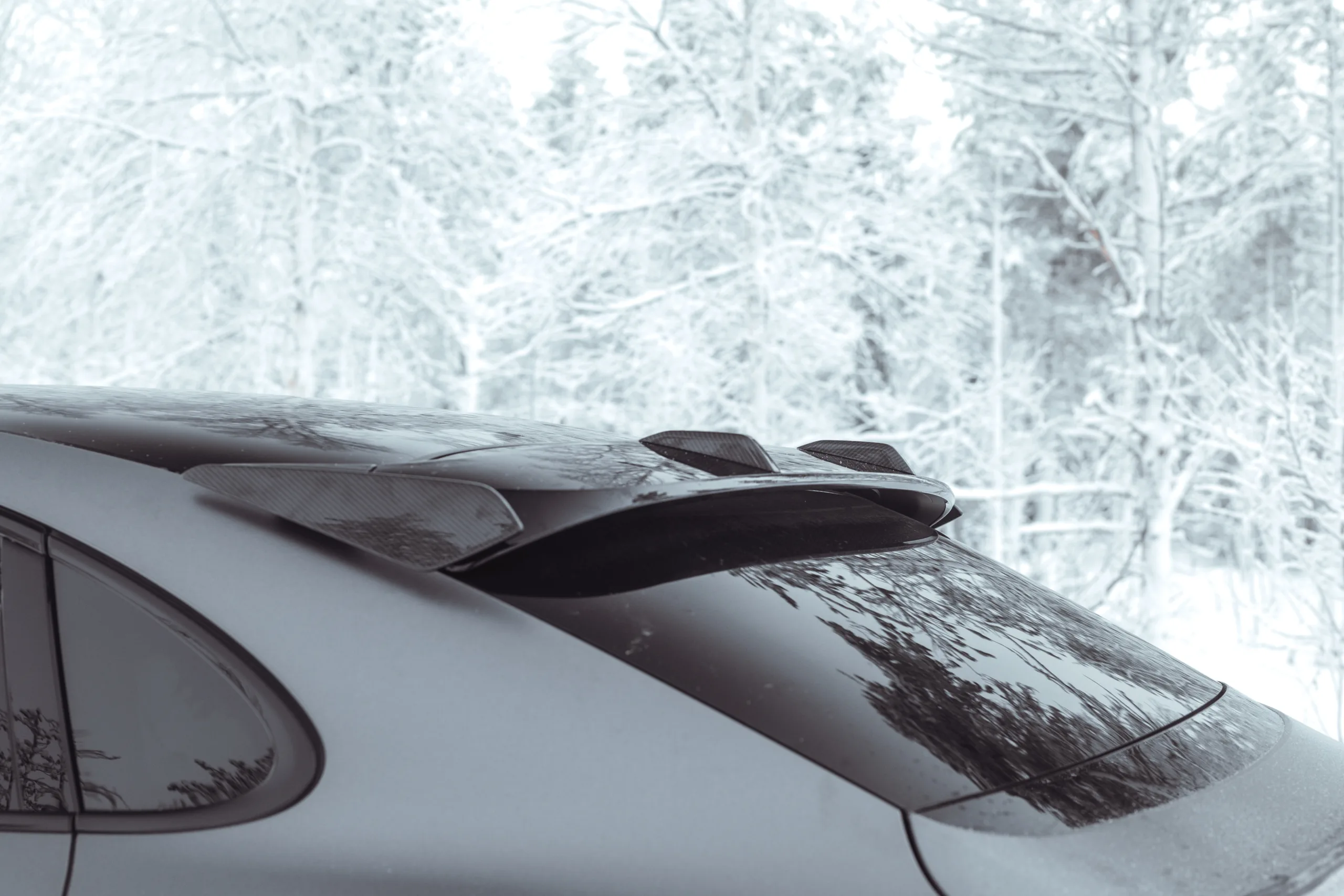 20260114 Continental winter performance 1050968