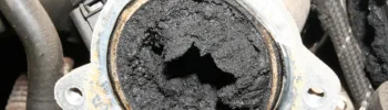 https  www.berrimadiesel.com    EGR clogged