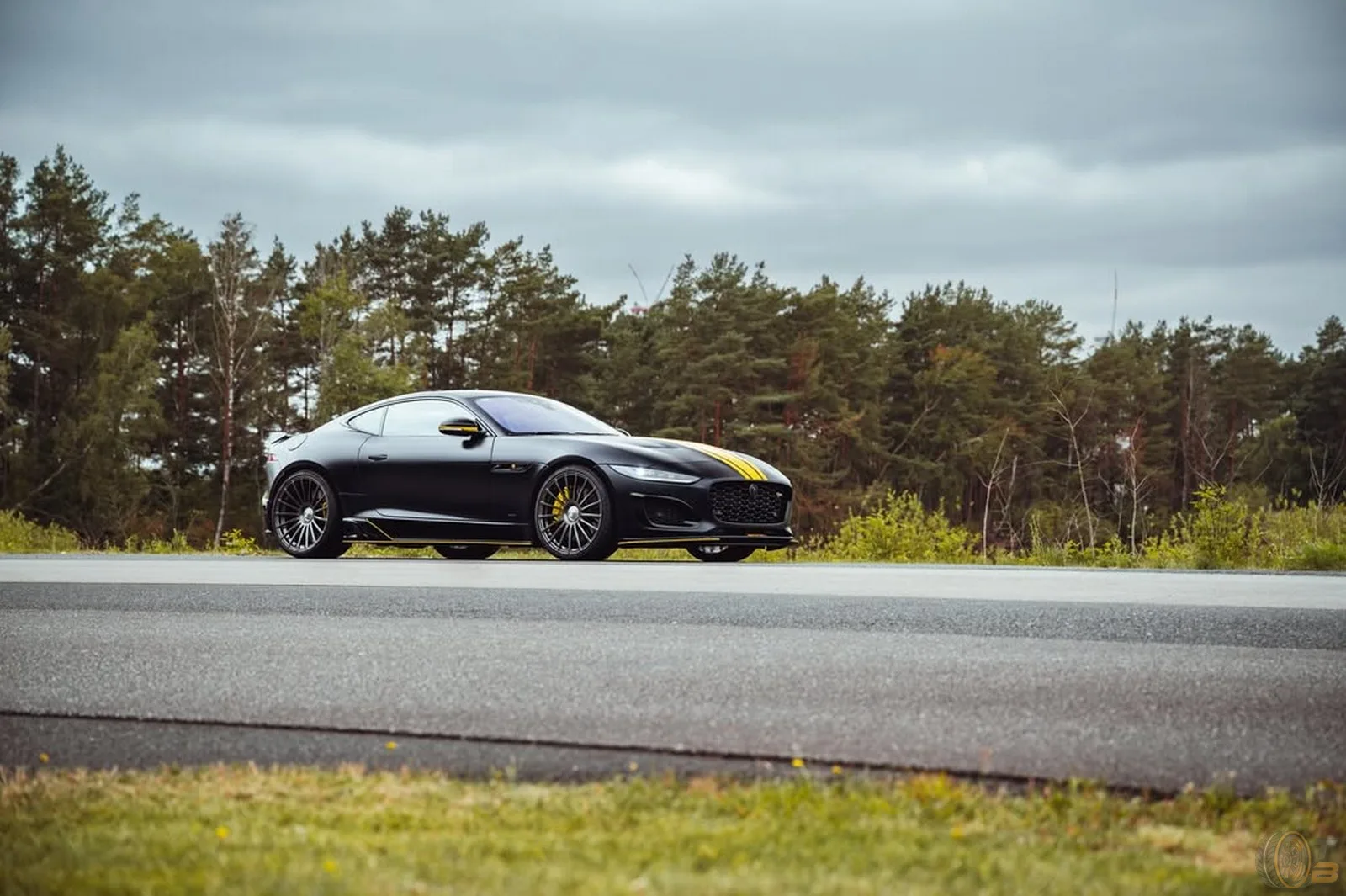 Arden Jaguar F Type E Fuel