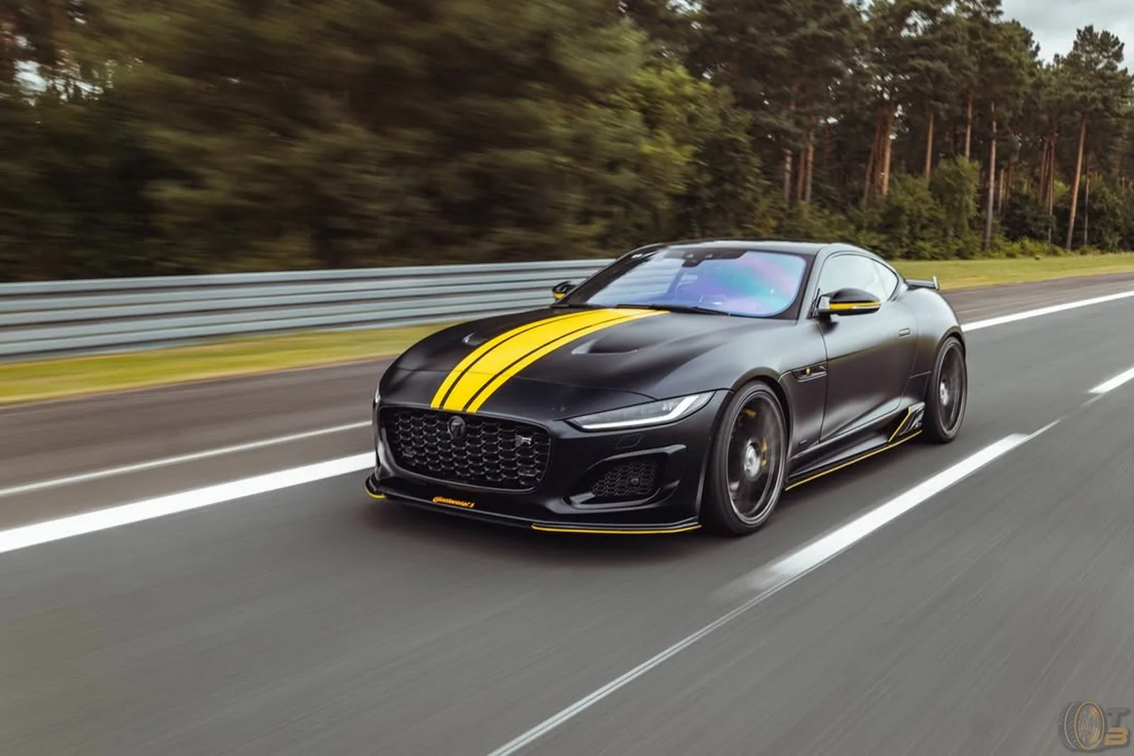 Arden Jaguar F Type E Fuel