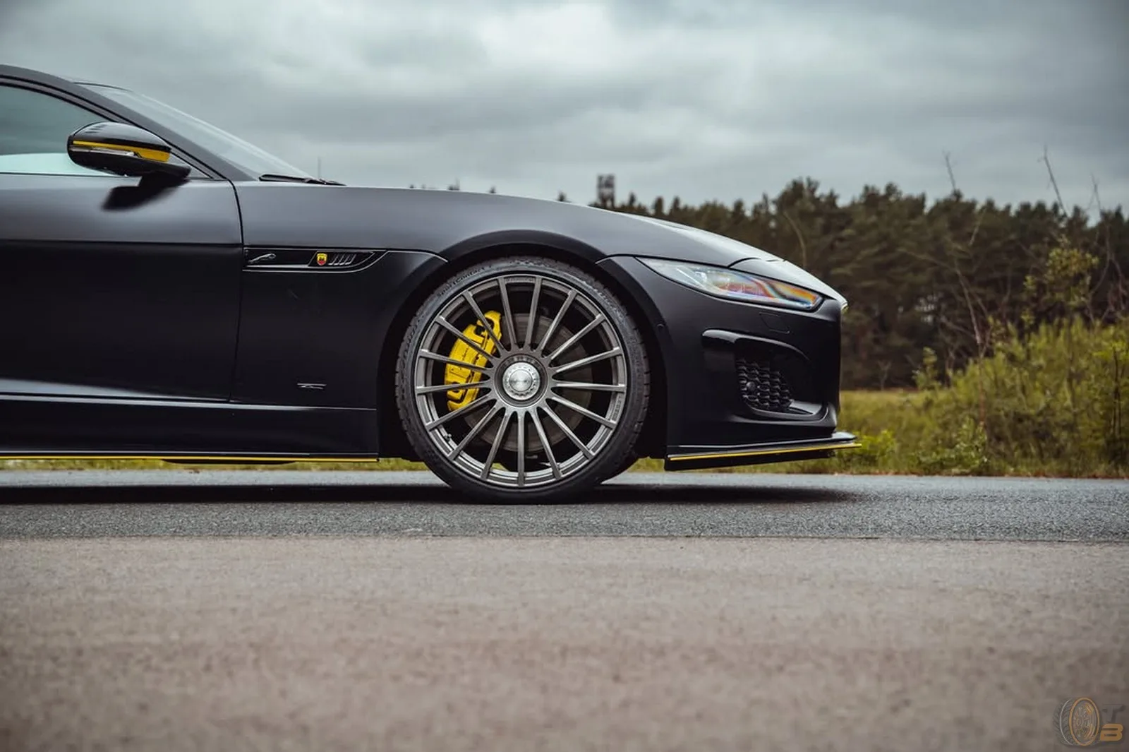 Arden Jaguar F Type E Fuel