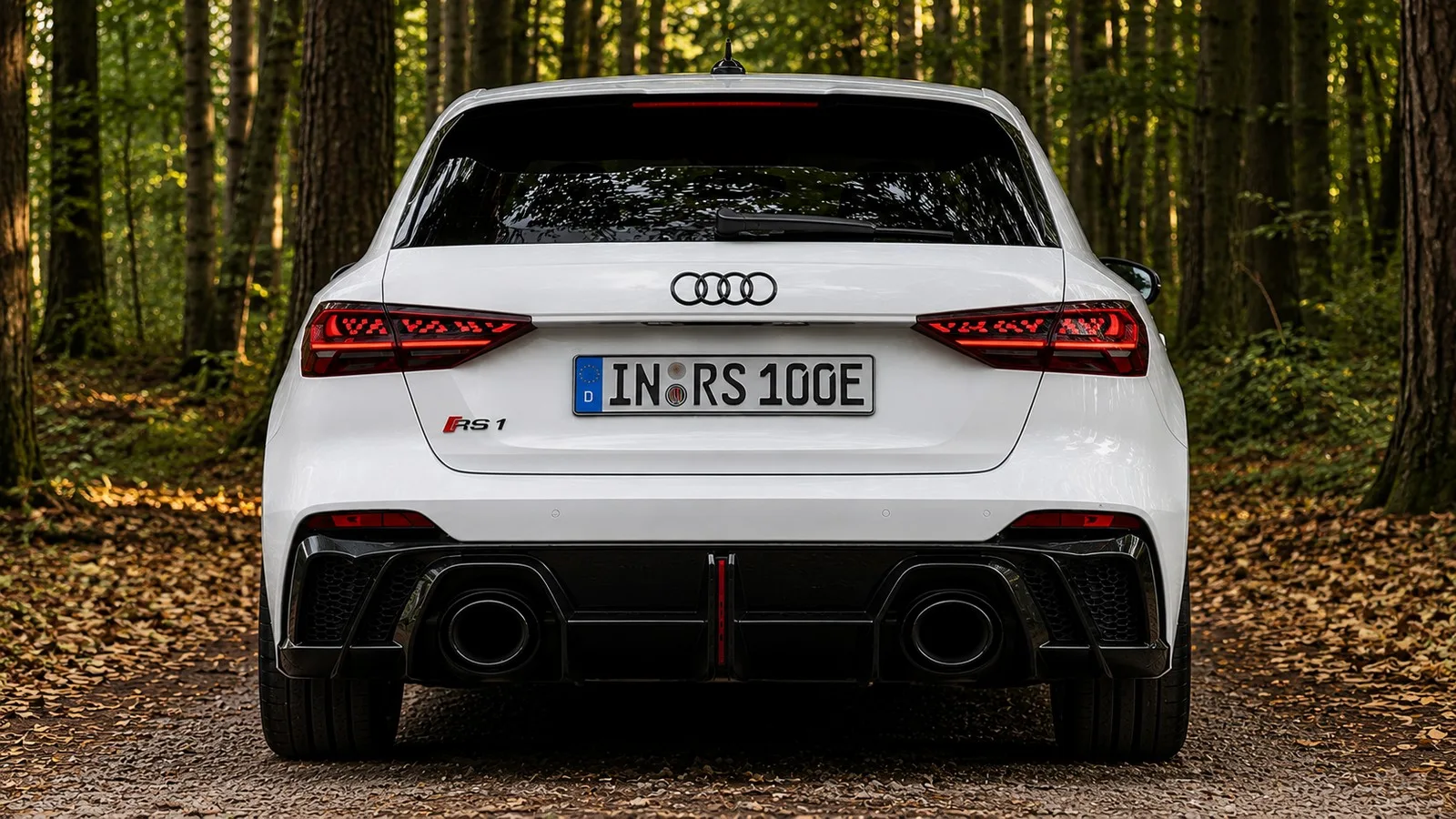 Audi RS X Konzept