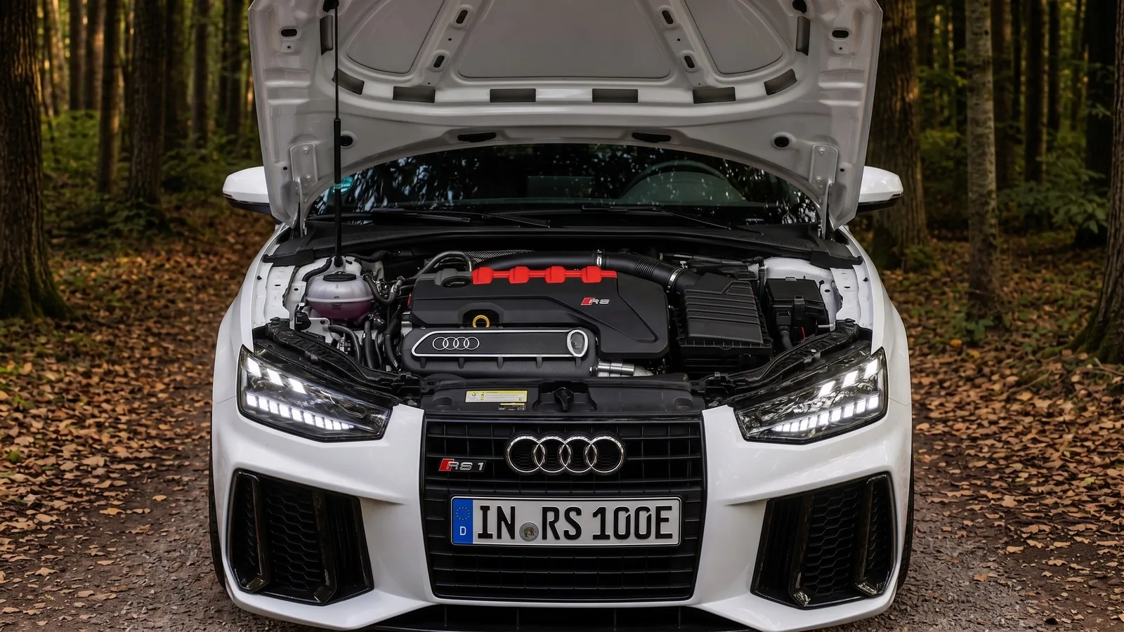 Audi RS X Konzept