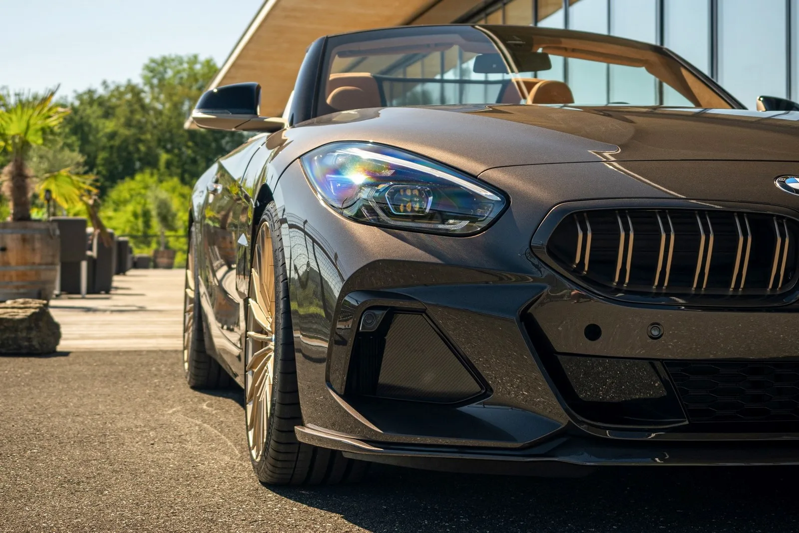 Tuning Edo Roadster Concorso BMW Z G