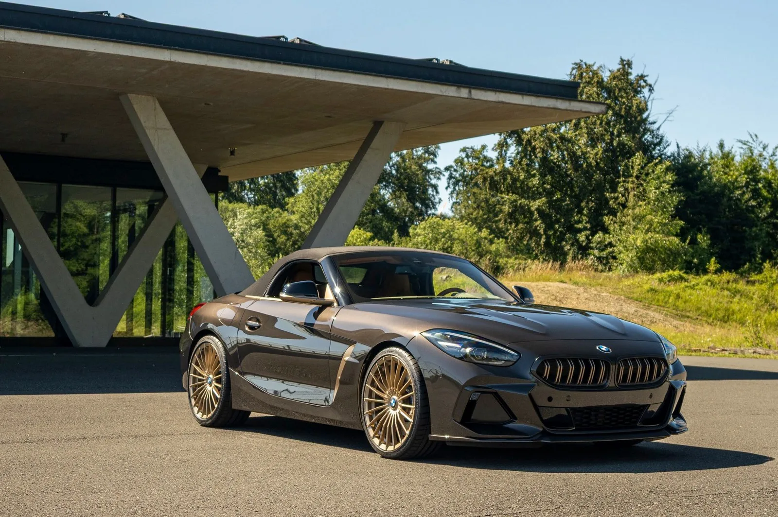 Tuning Edo Roadster Concorso BMW Z G